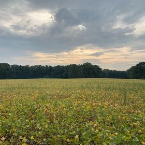 Meet your Posher, Sami